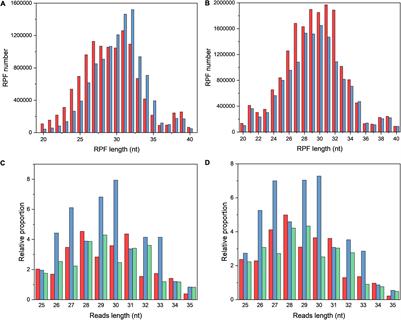 Ribosome Profiling and RNA Sequencing Reveal Genome-Wide Cellular Translation and Transcription Regulation Under Osmotic Stress in Lactobacillus rhamnosus ATCC 53103